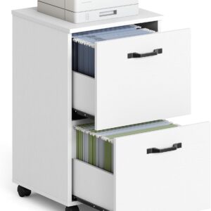 Compact 2-Drawer Rolling File Cabinet for Home Office Storage
