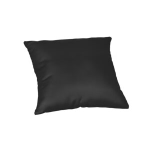 Weather-Resistant Black Canvas Decorative Throw Pillow