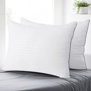 Set of 2 King-Sized Soft Down-Alternative Bed Pillows